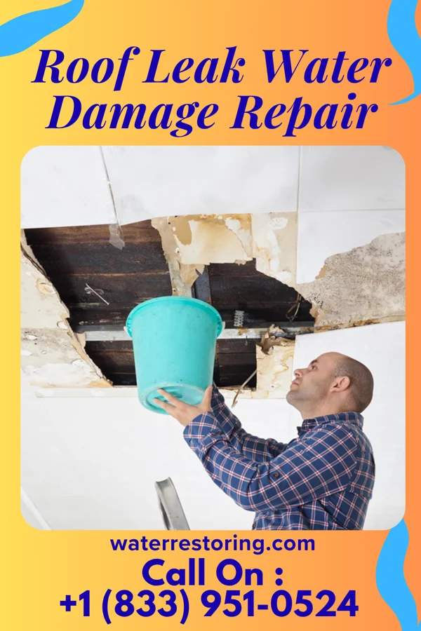 Roof Leak Water Damage Repair in Stickney, IL