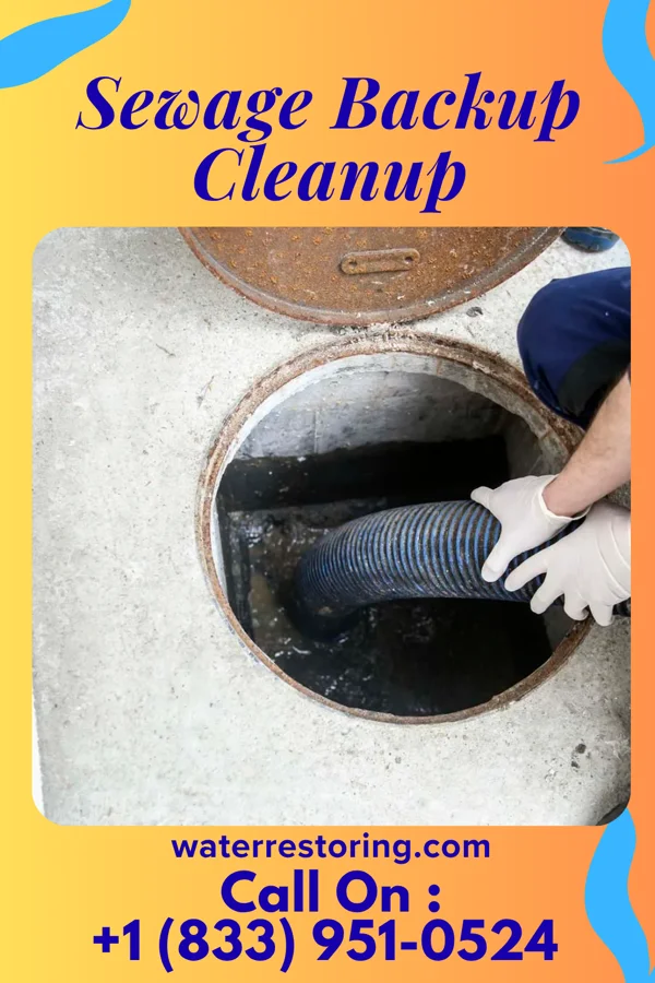 Sewage Backup Cleanup in Stickney, IL